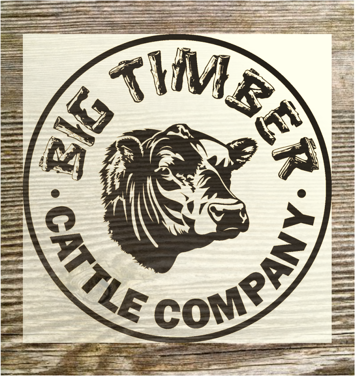 Big Timber Cattle Company Logo